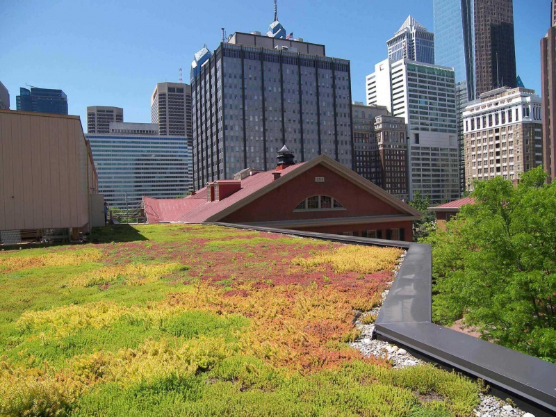 paysagiste-SEILLONS SOURCE D ARGENS-min_green-roof-portfolio-4